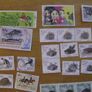 South Africa Stamps Image 6