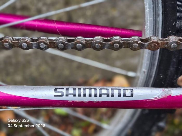 Bicycle