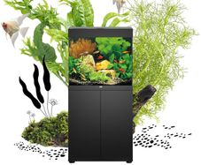 Juwel LIDO 120/200 LED aquarium