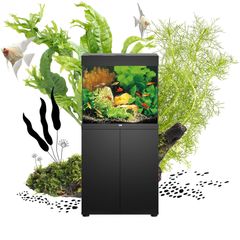 Juwel LIDO 120/200 LED aquarium