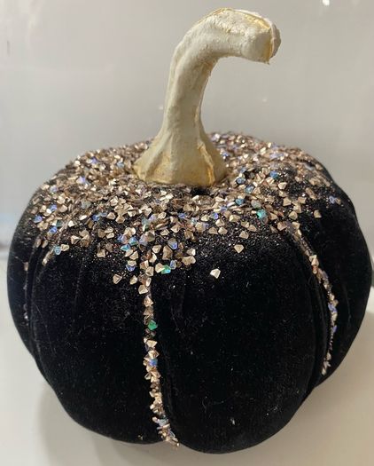 Black velvet Pumkin