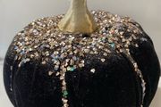 Black velvet Pumkin