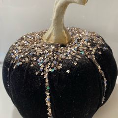Black velvet Pumkin