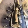 Set of 6 black office chairs - chrome frame Image 5