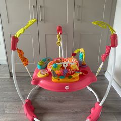 Fisher-Price Rainforest Jumperoo/Bouncer