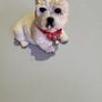 West highland terrier ornament Image 2