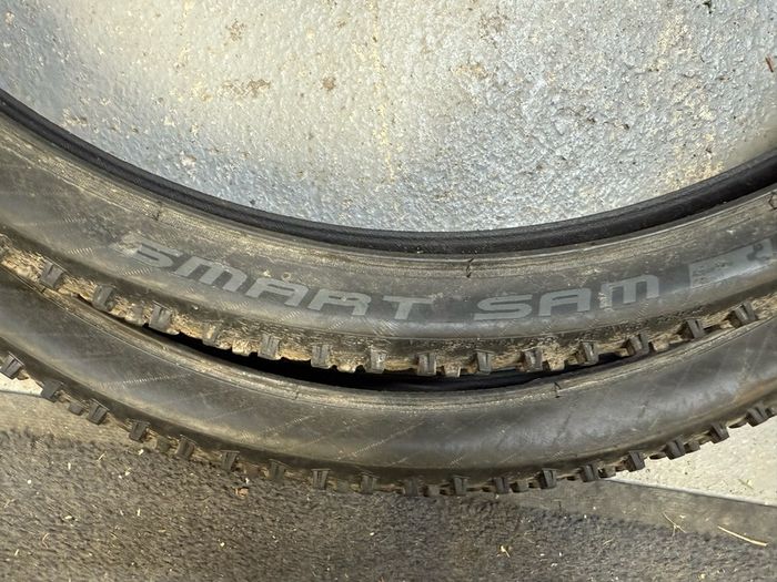 Schwalbe