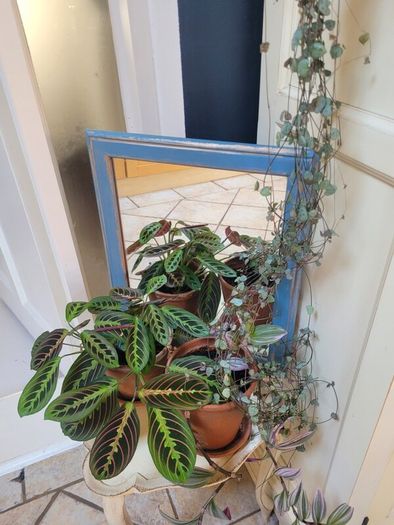 Teal And Gold Painted Pine Mirror
