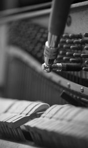 Evan Holland Piano Tuning, Repair & Regulation