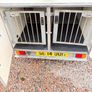 Dog trailer Factory build Image 8