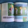 JUNIOR GOLF - a complete coaching manual for the young golfer Image 5
