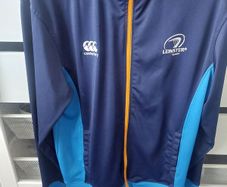 Leinster rugby