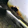 Ford fiesta 1.4 diesel Image 2