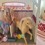 barbie horse barn Image 2