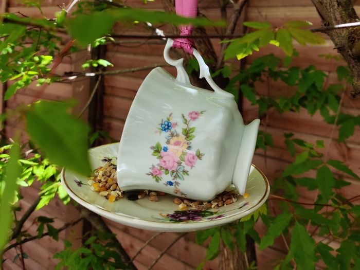 Bird feeder