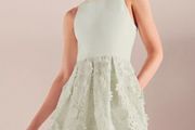 Ted Baker  Lexana Floral Lace A-Line Dress Light Green Size 4 UK 14