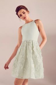 Ted Baker  Lexana Floral Lace A-Line Dress Light Green Size 4 UK 14