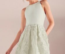 Ted Baker  Lexana Floral Lace A-Line Dress Light Green Size 4 UK 14