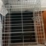 dog gate Image 2