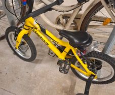 Ridgeback bike - kids 1st bike.