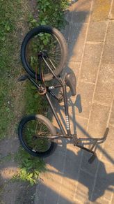 bmx