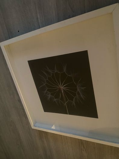 Large IKEA Framed Dandelion Print
