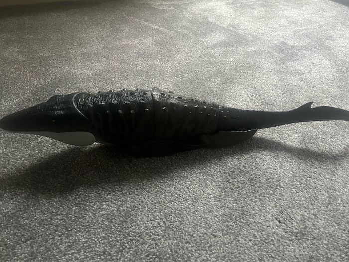 Rebirth Mosasaurs