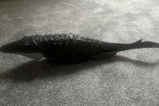 Rebirth Mosasaurs
