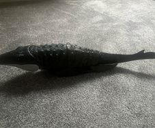 Rebirth Mosasaurs