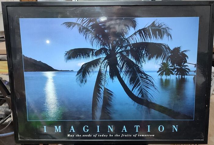 Imagination Poster Framed May the seeds of today be the fruits of tomorrow