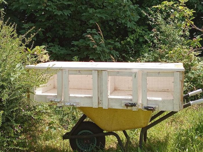 Multi-Compartment Wooden Quail Cage / Breeding Hutch