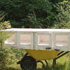 Multi-Compartment Wooden Quail Cage / Breeding Hutch