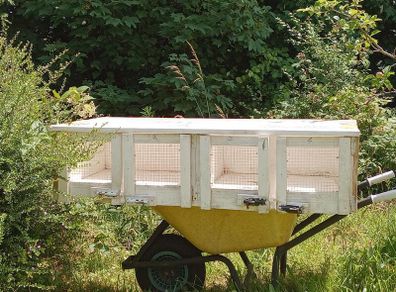 Multi-Compartment Wooden Quail Cage / Breeding Hutch