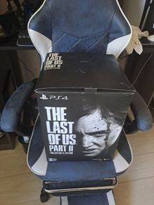The Last Of Us Part 2 Collectors Edition boxed (ps4)