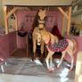 Our generation stables with two horses and accessories seen in photos Image 5