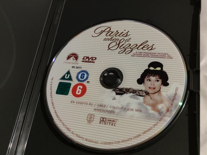Paris When It Sizzles Dvd