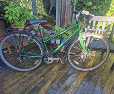 Raleigh Pioneer Ladies Bike