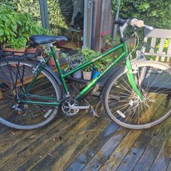 Raleigh Pioneer Ladies Bike