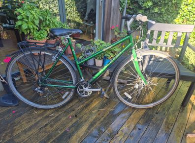 Raleigh Pioneer Ladies Bike