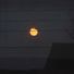 yasser_nidar