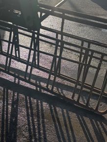 Sheep creep gates