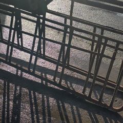 Sheep creep gates