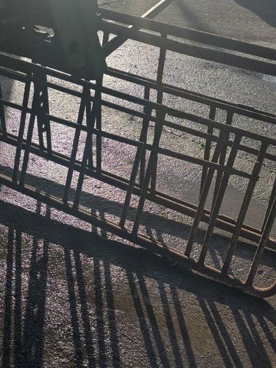 Sheep creep gates