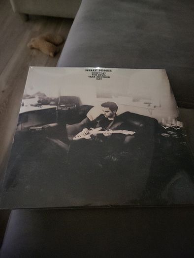 Kelly Jones dont let the devil take another day 3 vinyl