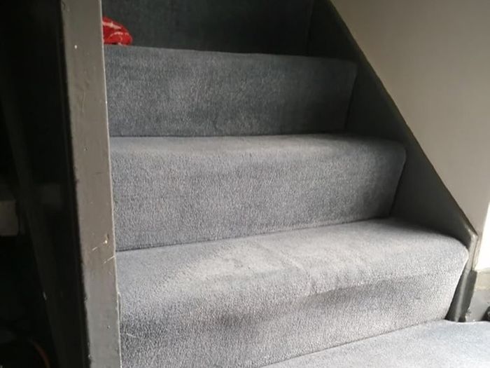 Rug Doctor Carpet & Upholstery Spot Cleaner Hire / Rent (25/day)