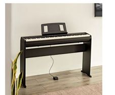 Roland FP 10 Digital Piano with stand and damper pedal