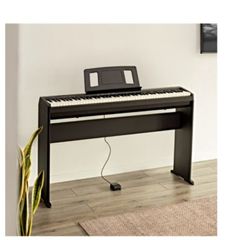 Roland FP 10 Digital Piano with stand and damper pedal