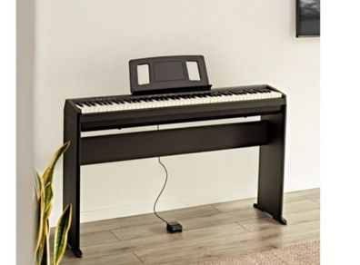 Roland FP 10 Digital Piano with stand and damper pedal