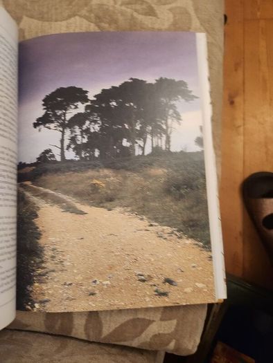 The Fields In Winter. Sporting Memories Of A Bygone Age.  By Graham Downing. First Edition Hardback With Dustjacket In Good Condition.