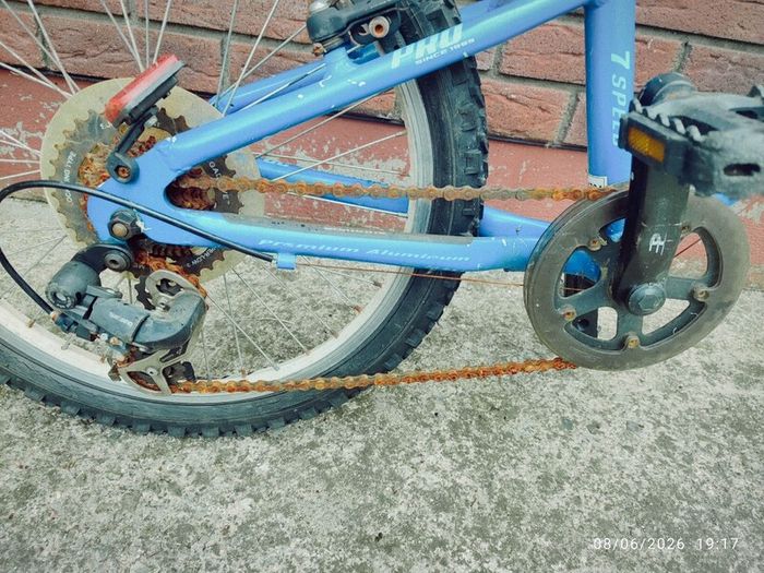 Procycle Maverick 20" Kids Bike  Project, For Parts